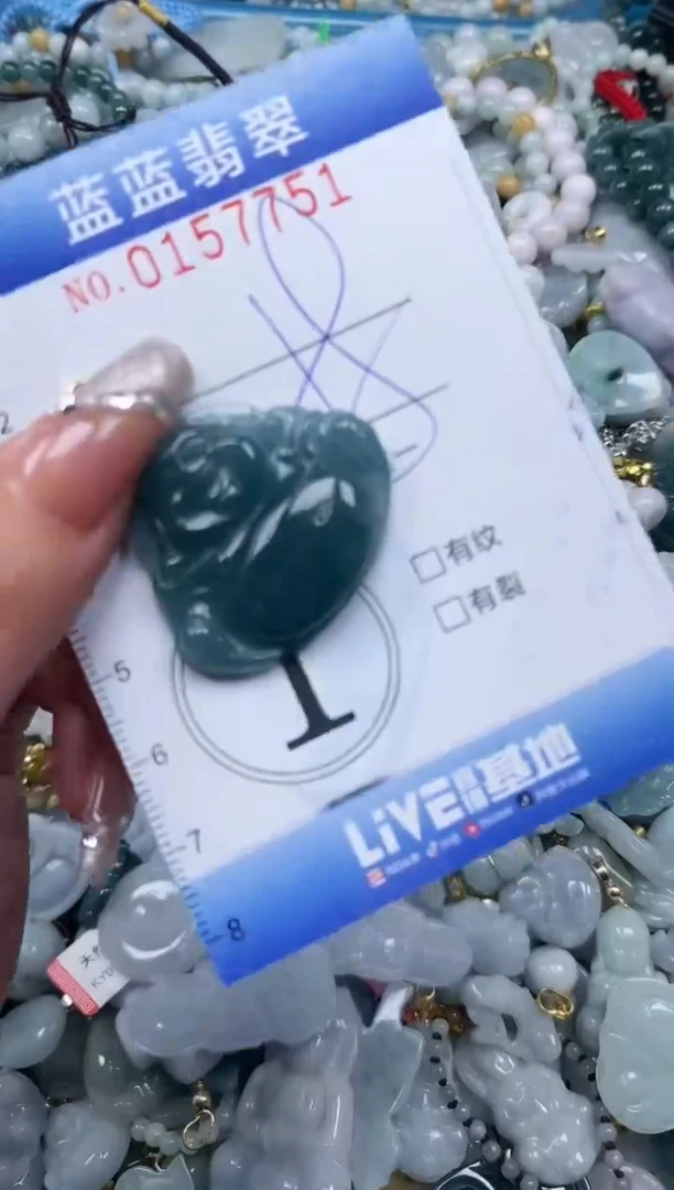 【闪购商品】翡翠颈饰未镶嵌闪购0157751