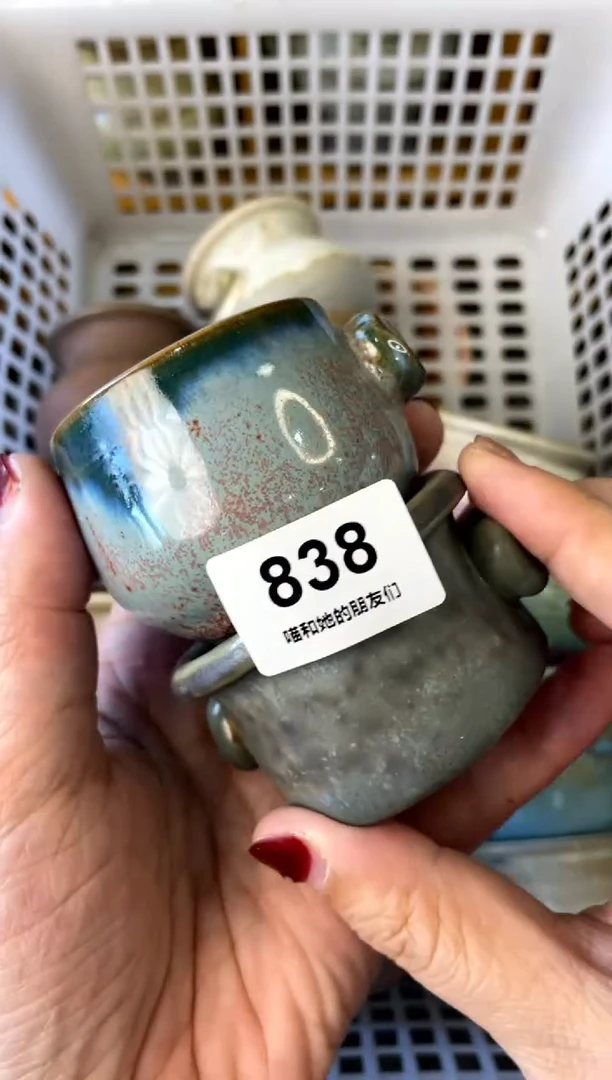 【闪购商品】陶838