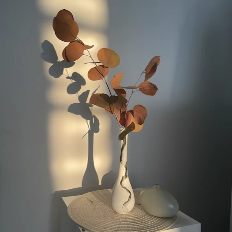 草木知｜花束一物一拍专属链接补拍链接