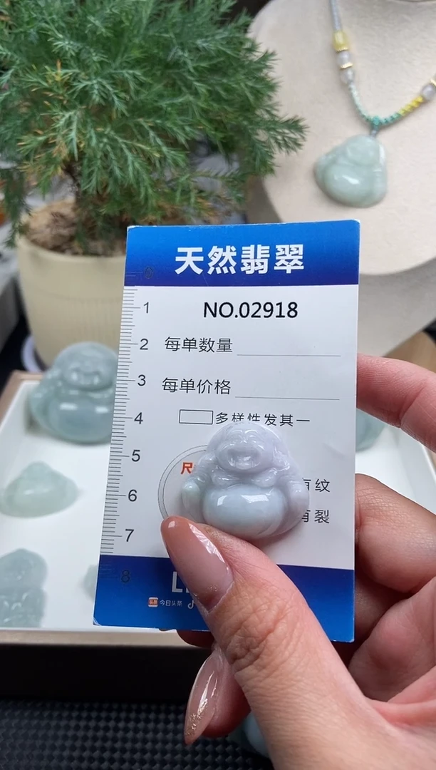 颈饰未镶嵌翡翠纯天然A货翡翠2918