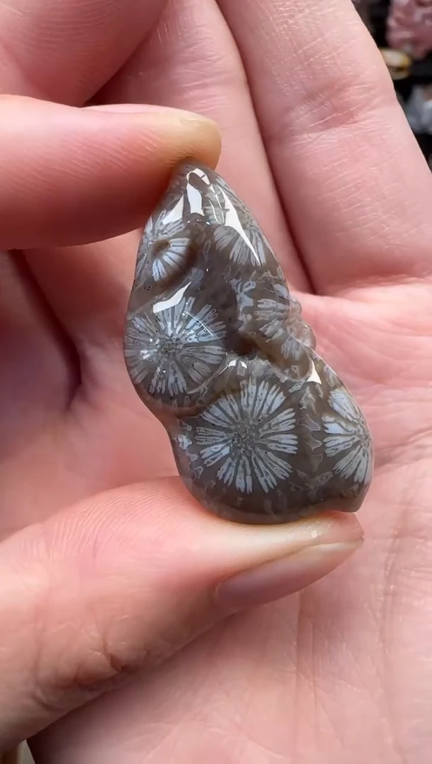 颈饰未镶嵌硅化珊瑚（珊瑚玉）559