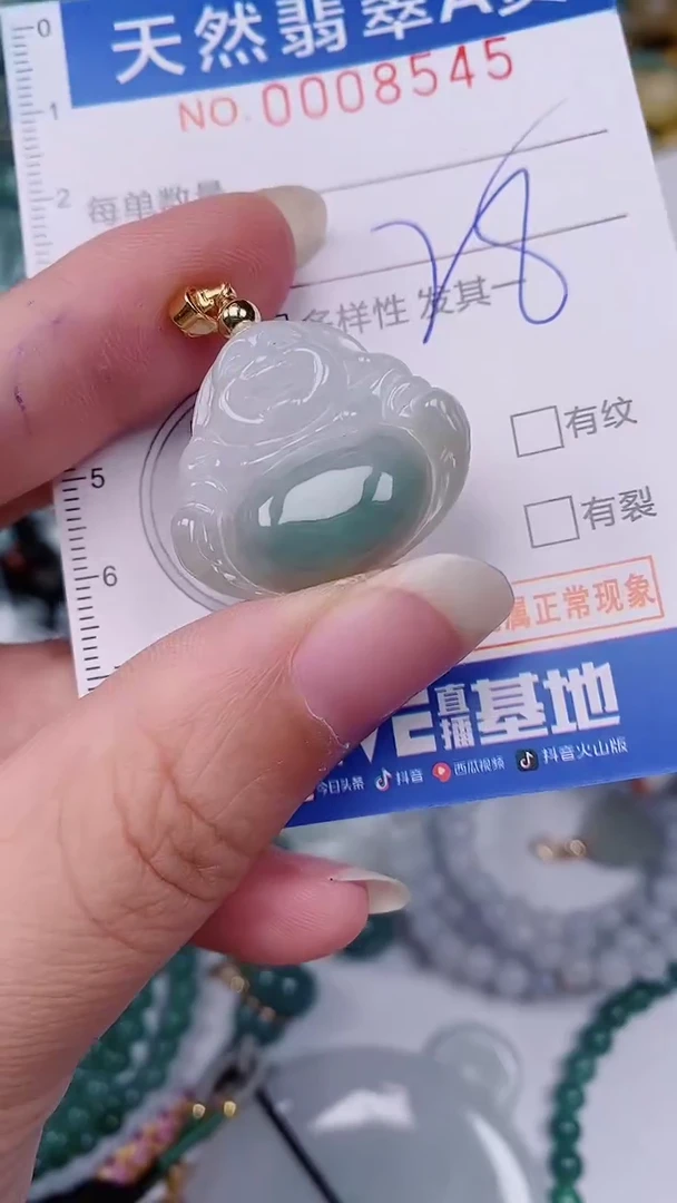 翡翠未镶嵌颈饰00008545