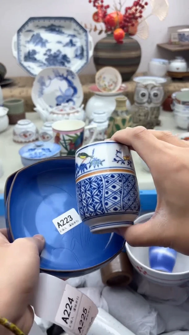 【闪购商品】碟223A............