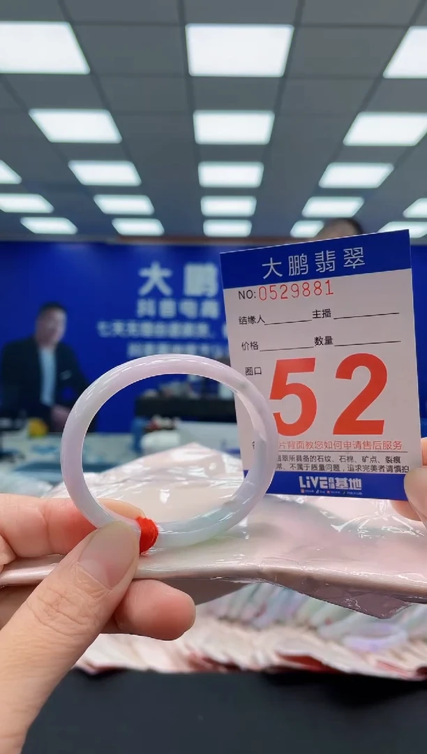 未镶嵌手镯翡翠AAAAAAAAA