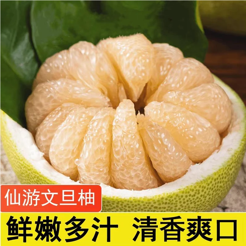 福建仙游度尾文旦柚老树果现摘新鲜多汁红心白心蜜柚应季水果