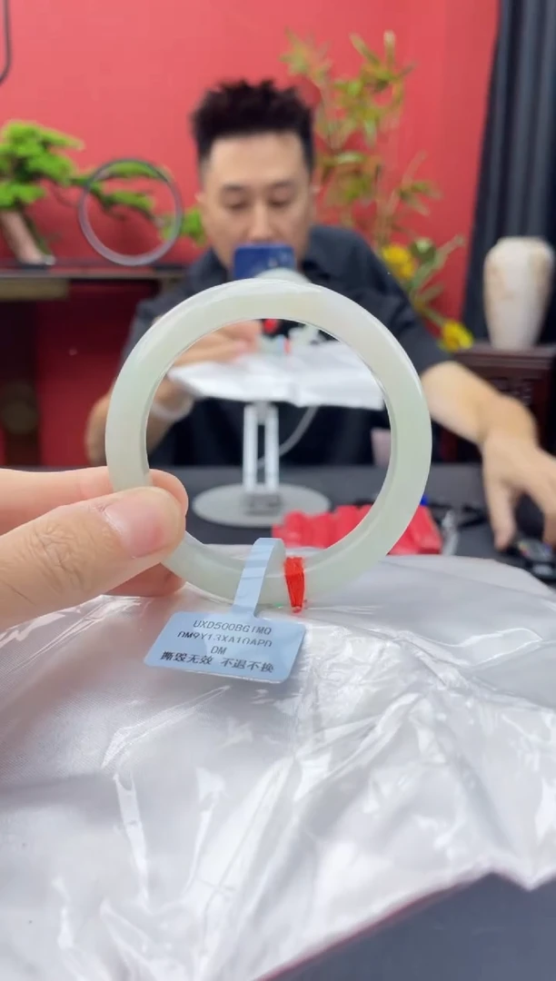 未镶嵌手镯翡翠5