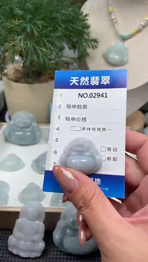 颈饰未镶嵌翡翠纯天然A货翡翠2941