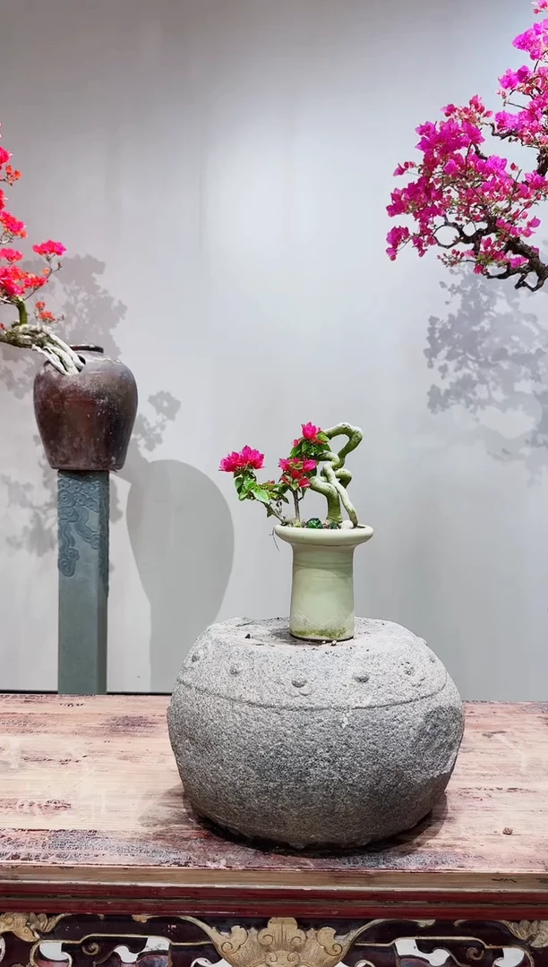 【闪购商品】盆景小桃红