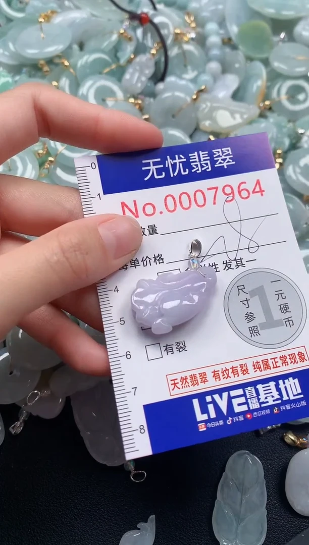颈饰未镶嵌翡翠7964
