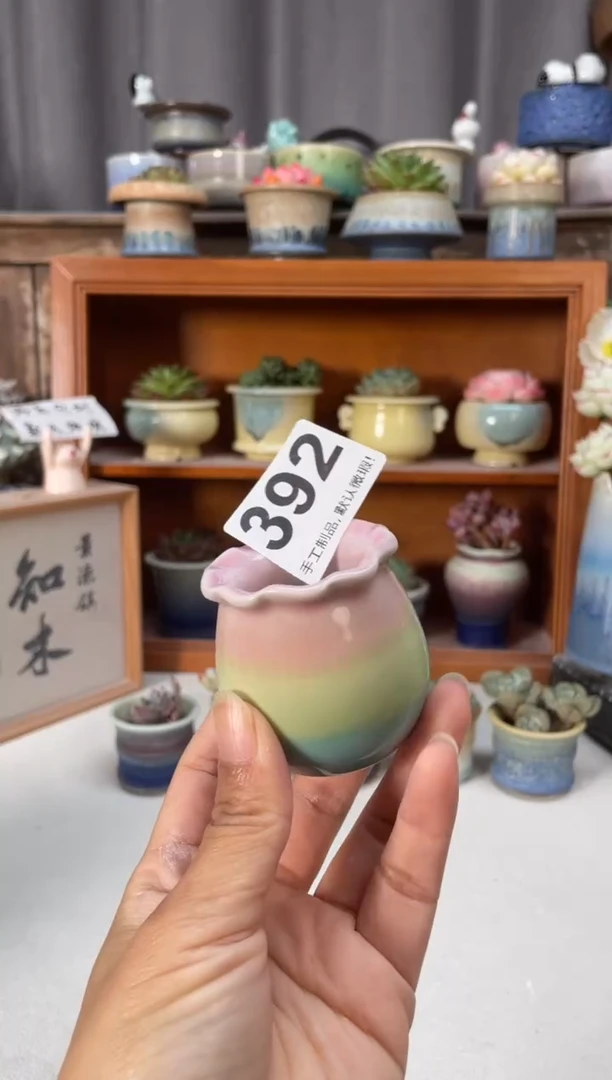 瓷片392小芳直播编号