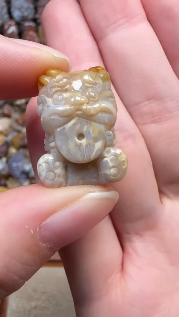 颈饰未镶嵌硅化珊瑚（珊瑚玉）474