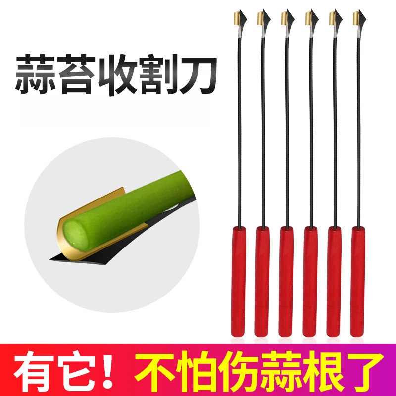 蒜苔收割刀拔蒜苔工具蒜薹刀加长蒜苔打蒜苔划剥蒜苔工具