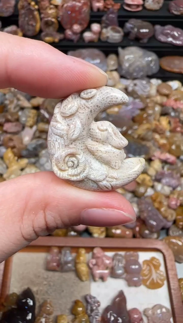 颈饰未镶嵌硅化珊瑚（珊瑚玉）322