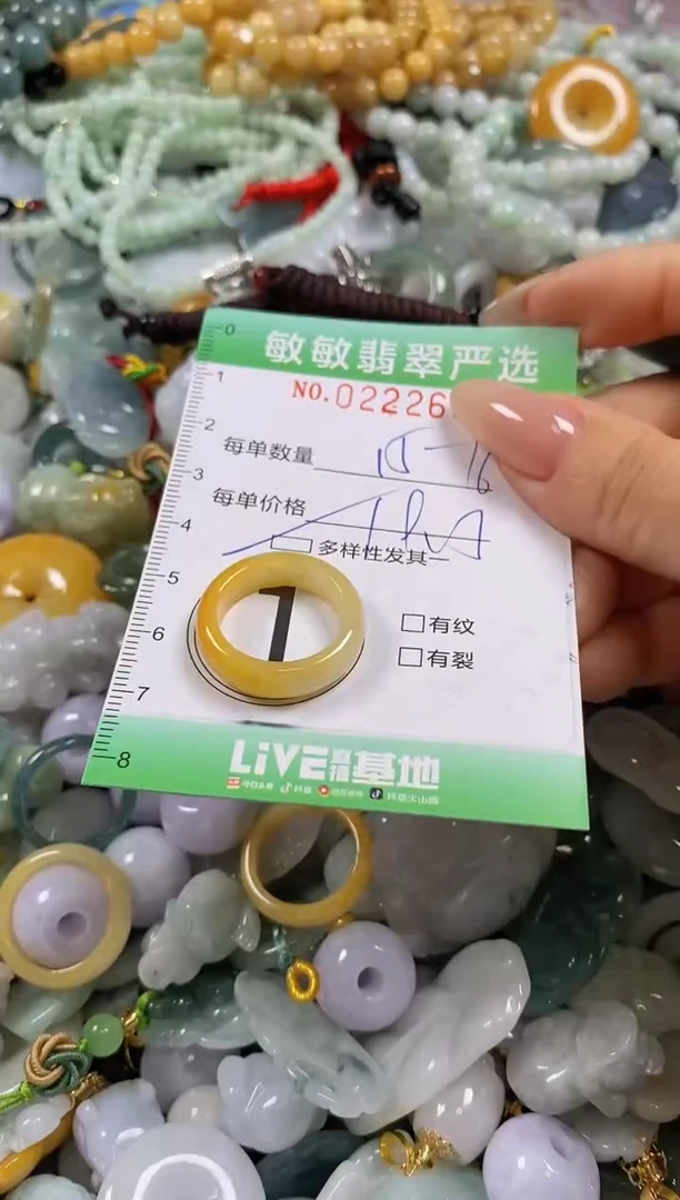 翡翠未镶嵌颈饰闪购0222692多样性发其一