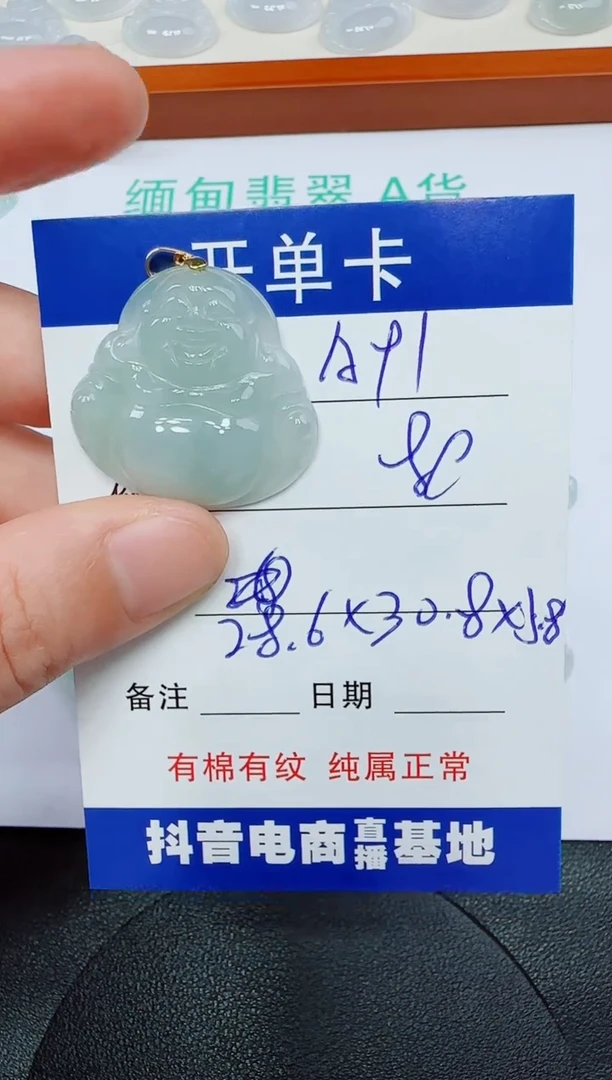 翡翠未镶嵌吊坠(赠链)A91