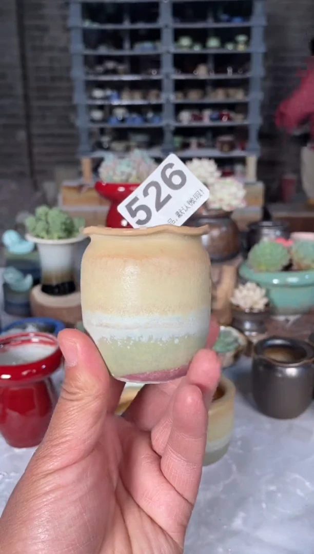 瓷片526小芳直播编号