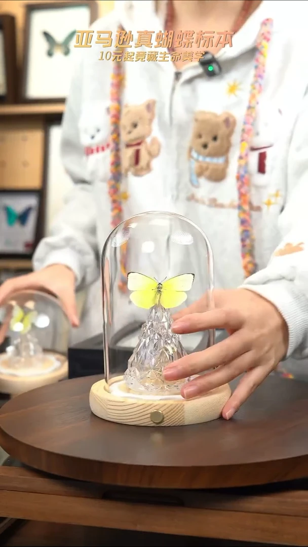 迁粉蝶圣诞灯款 玻璃罩款