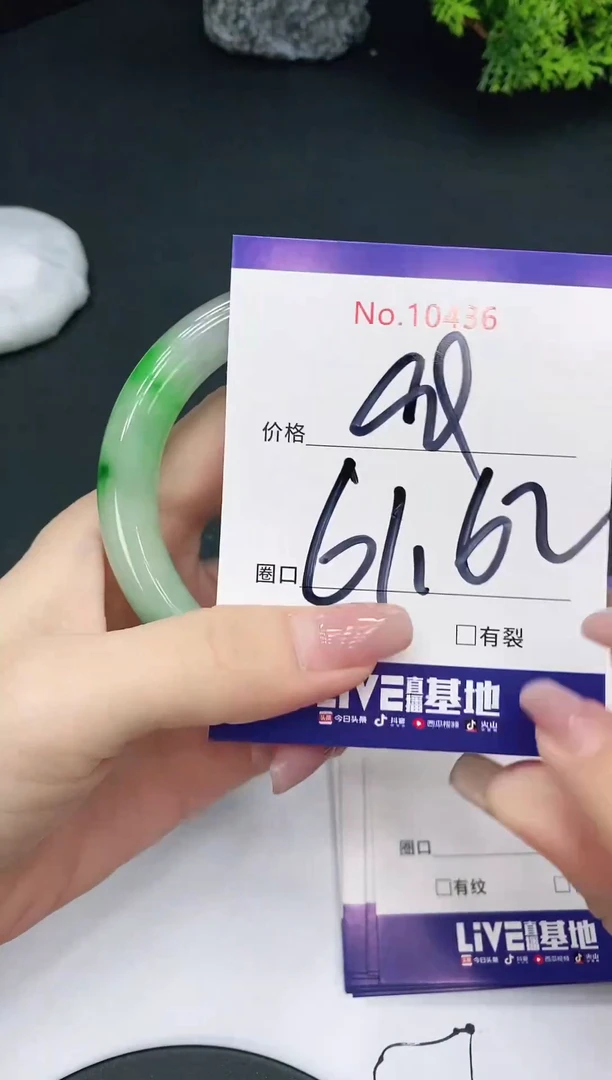 未镶嵌手镯翡翠10436