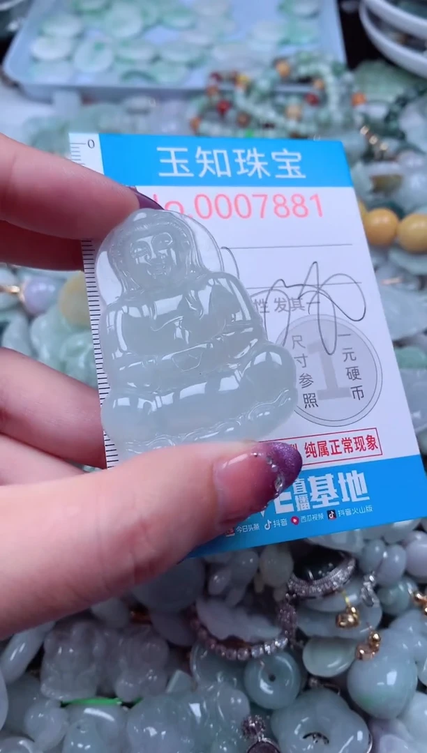 翡翠未镶嵌吊坠(不含链)7881