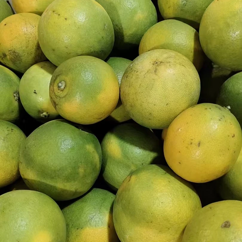 8斤 云南冰糖橙中大果  表皮花麻不影响口感zm