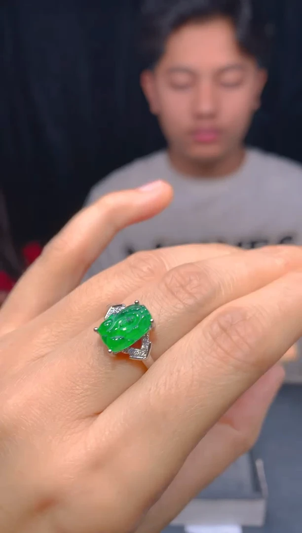 【闪购商品】定制翡翠未镶嵌29多样性发货（发其一）