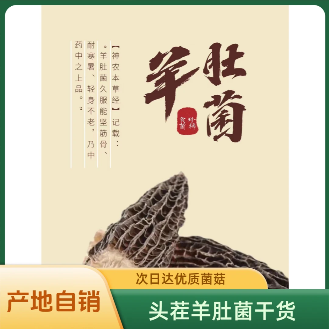 【次日达】}头茬羊肚菌（5—7cm）精品干货菌菇产地自销 个头大 品质优质山货
