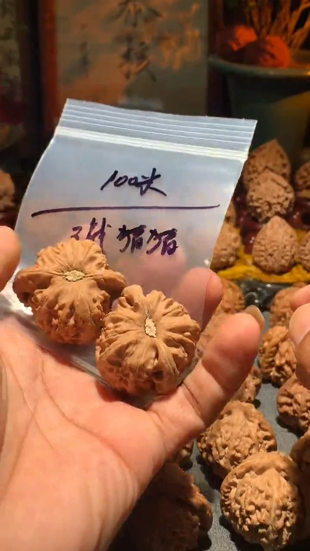 把件桃核三**猪丰泰文玩    白狮子41 尺寸左右