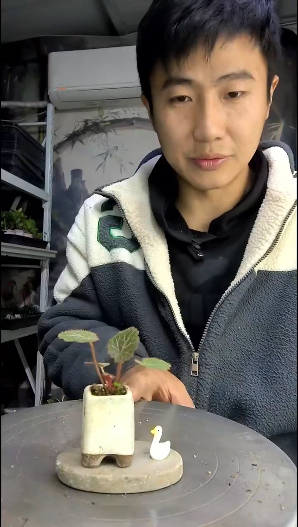 张*中青园艺一物一拍183