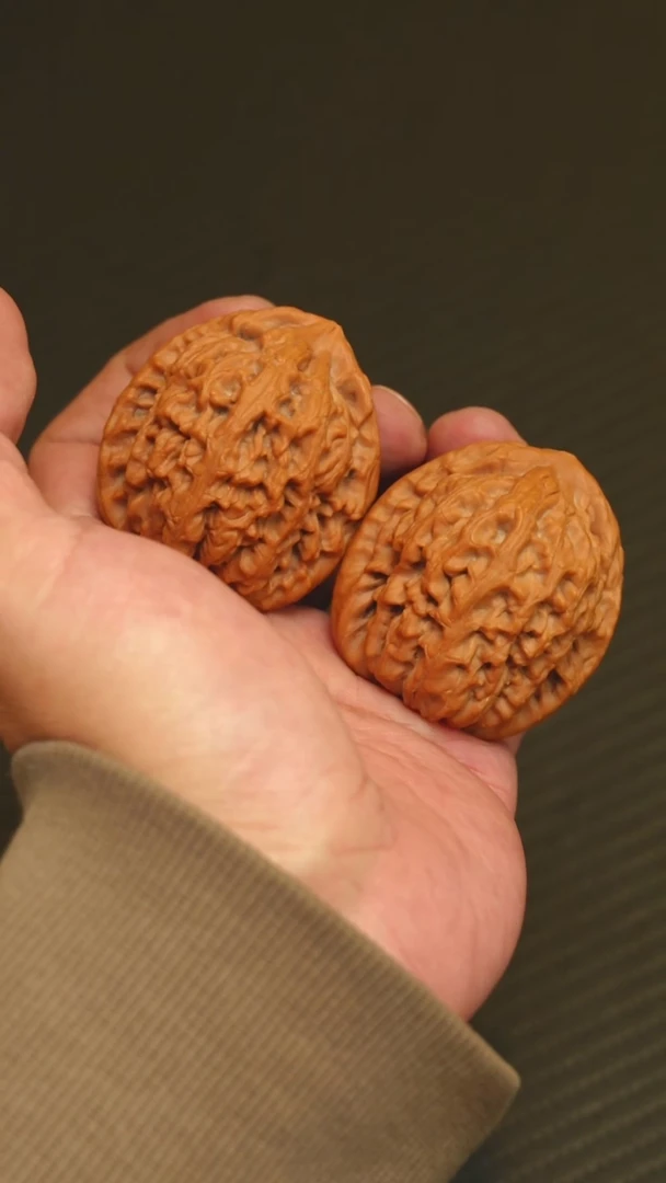 2025核桃季精品红锦鲤43