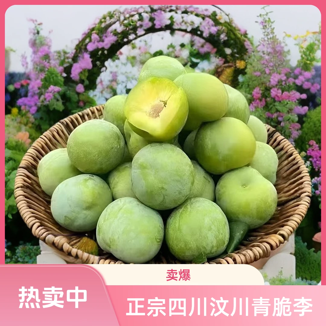 彩箱包装四川正宗脱骨李汶川青脆李当季空心脆李子酸甜孕妇新鲜果
