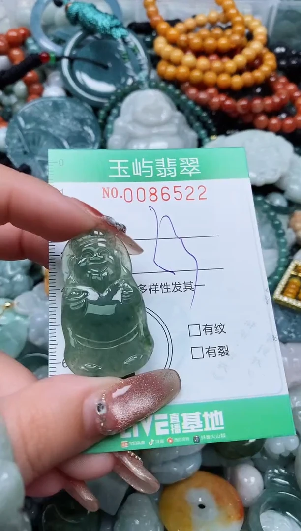 【闪购商品】翡翠颈饰未镶嵌闪购0086522