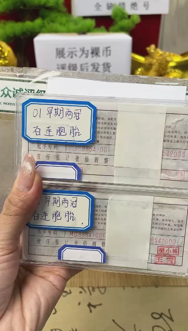 【01两冠双胞胎对刀】（拍九发十）早期冠