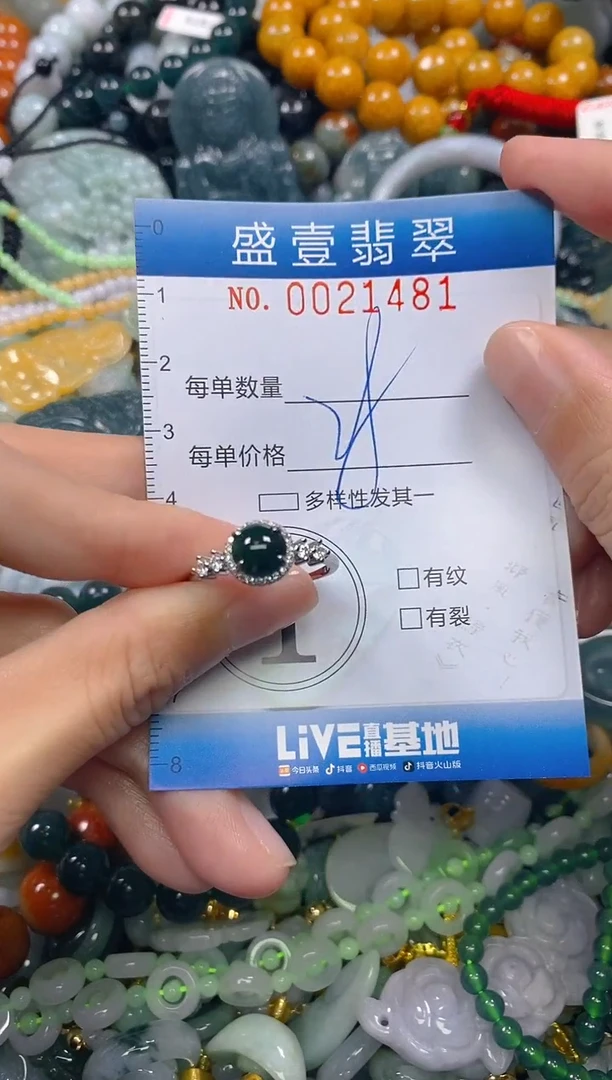 颈饰未镶嵌翡翠闪购0021481