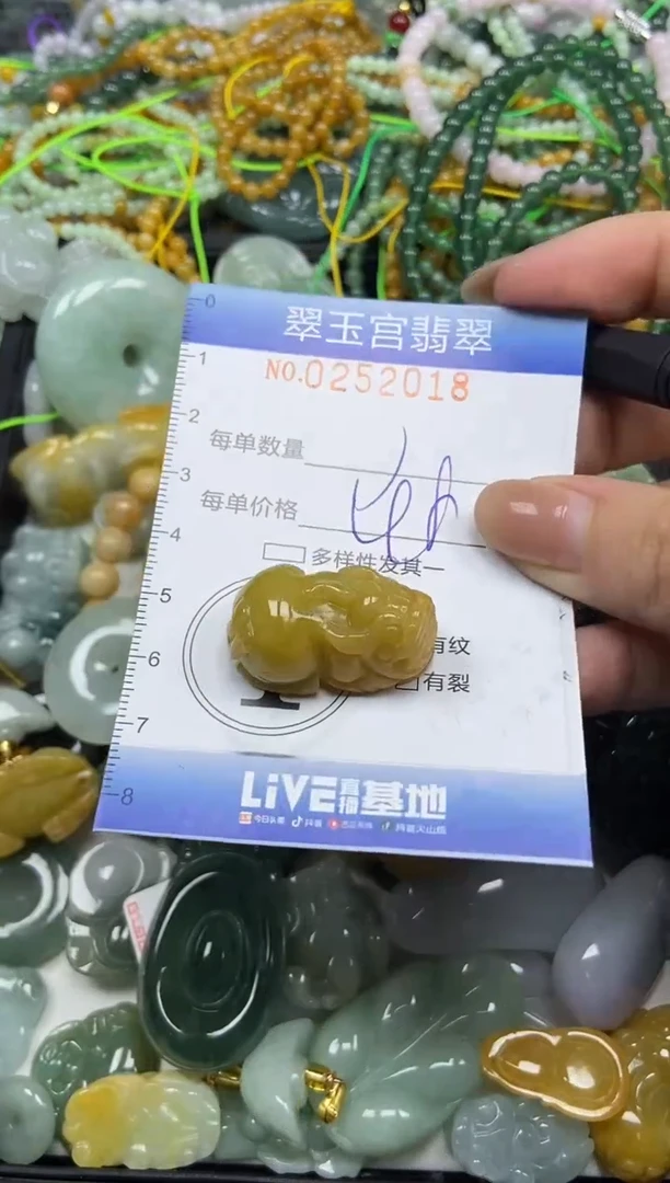 颈饰未镶嵌翡翠闪购C0252018