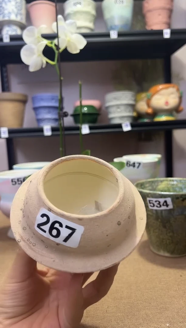景德镇星球口6高9