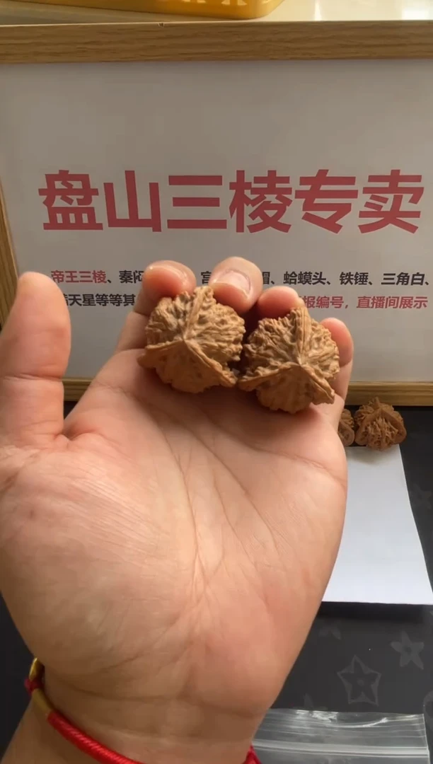 A162盘山三棱正奔3.8尺寸3.6高全品白茬文玩核桃手把件