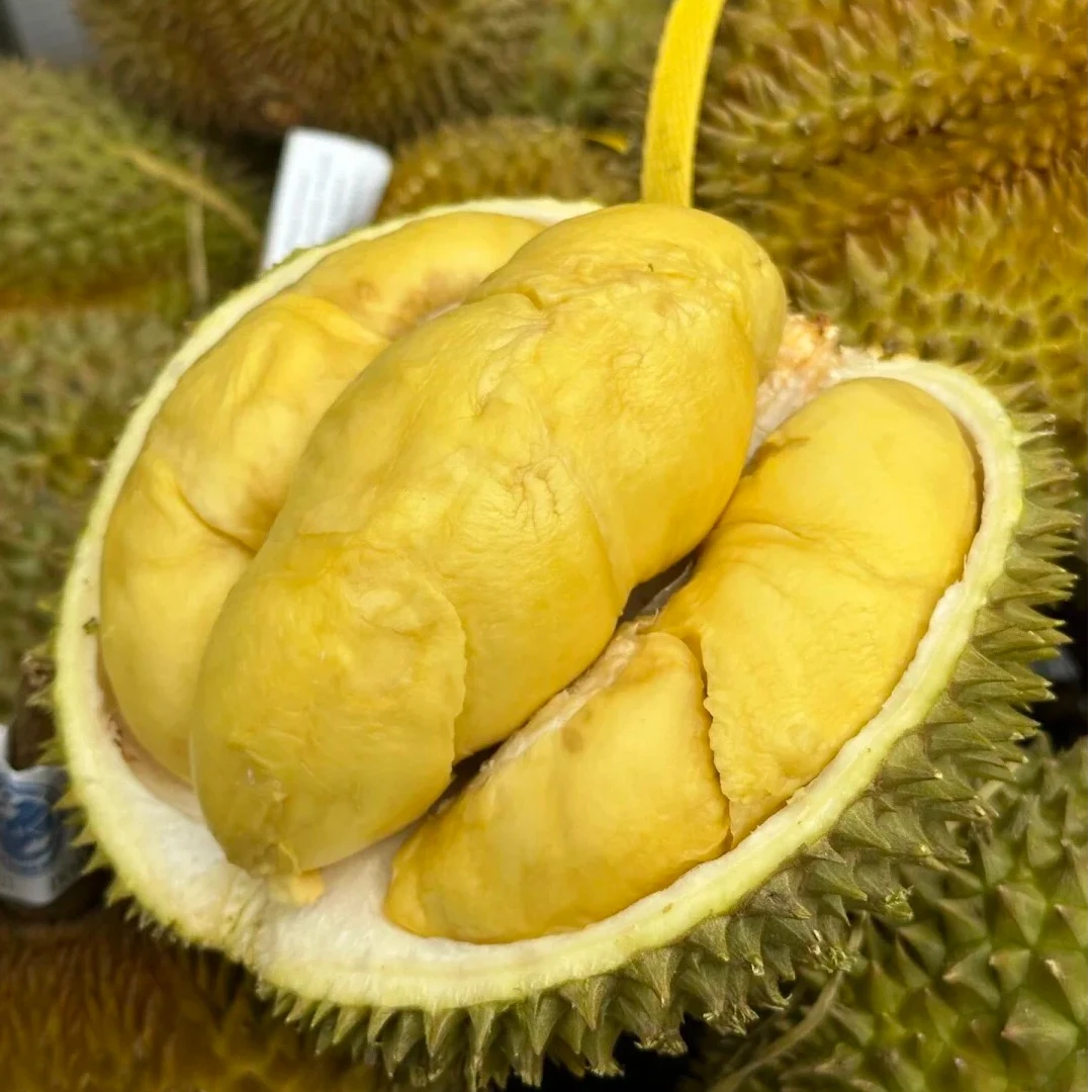 泰国金枕头榴莲、核小、皮薄、肉厚、软糯香甜~是3~5Kg鲜榴莲金枕泰国