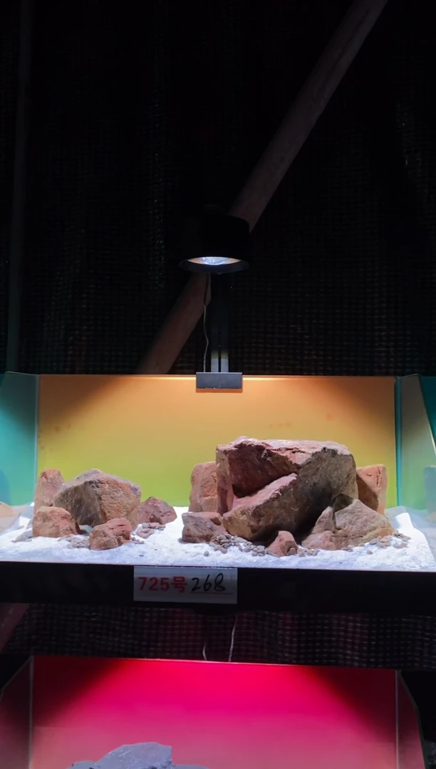 715号鱼缸造景（不含底砂）