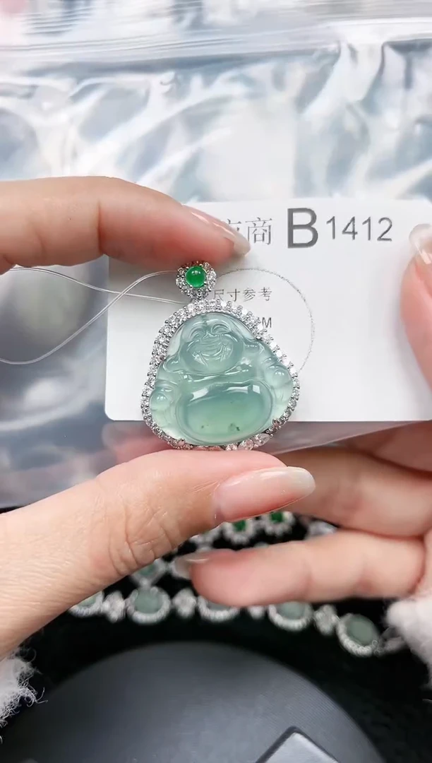【闪购商品】翡翠颈饰未镶嵌赠皮绳1412