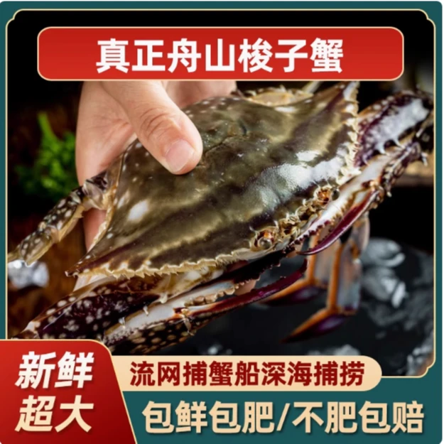 【冻蟹】不可蒸煮东海梭子蟹公蟹3斤装冻蟹3-4两6-9只