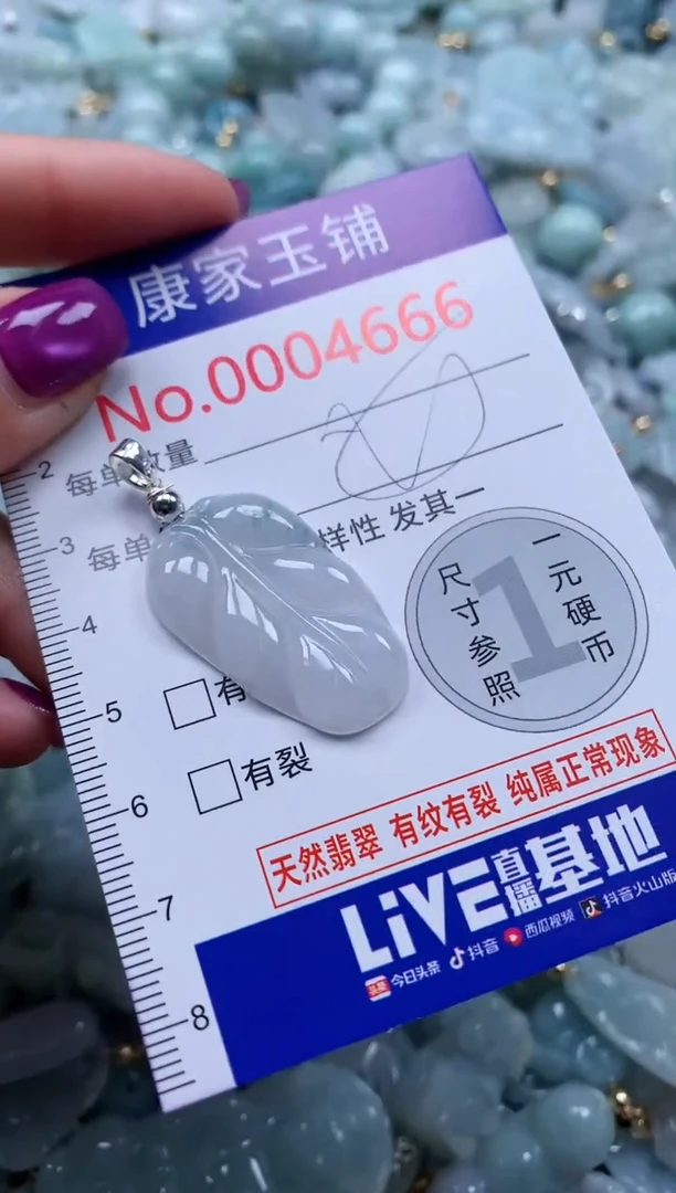 颈饰未镶嵌翡翠4666