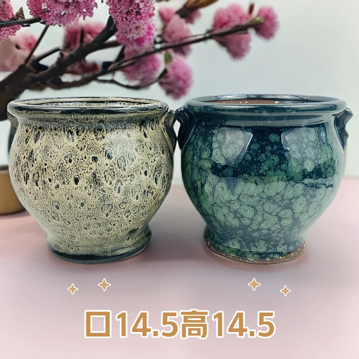 5006韩系双耳专用圆盆法师老桩兰花垂丝茉莉多肉绿植花盆