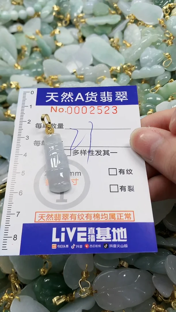 颈饰未镶嵌翡翠纯天然a货翡翠