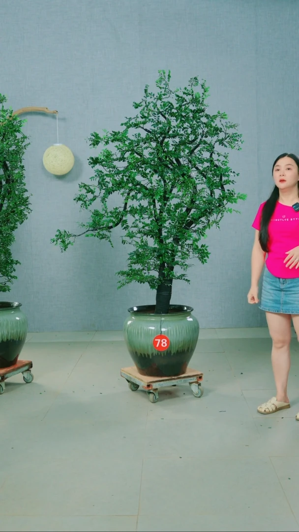 无花朵归*广东小叶紫檀