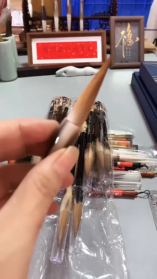 1/4.8飞鸿