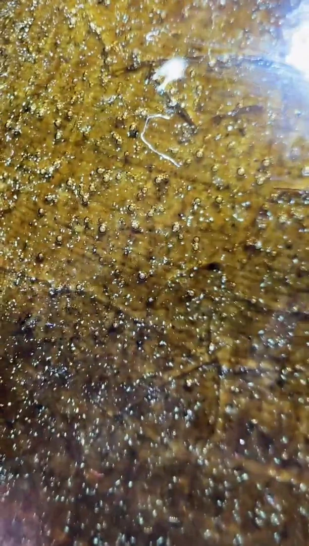 茶盏廖珍琴高端收藏46