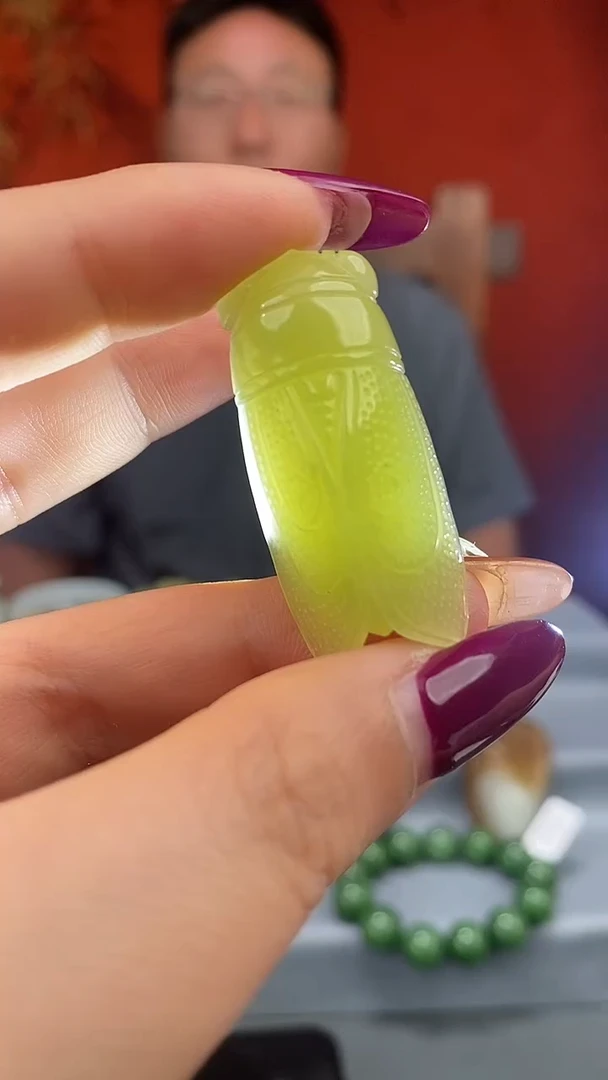 和田玉未镶嵌吊坠(赠链)蝉