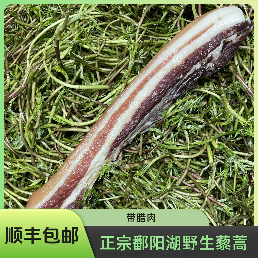 腊肉加野生藜蒿顺丰发货鄱阳湖沙洲江西当季新鲜嫩芦蒿泥蒿