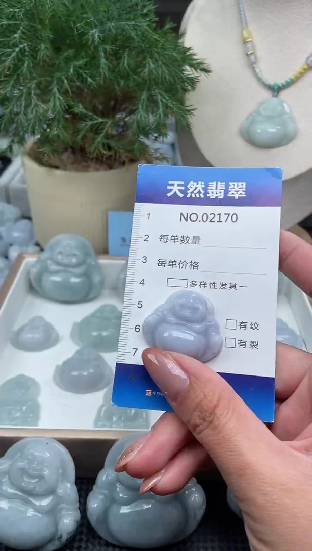 颈饰未镶嵌翡翠纯天然A货翡翠2170