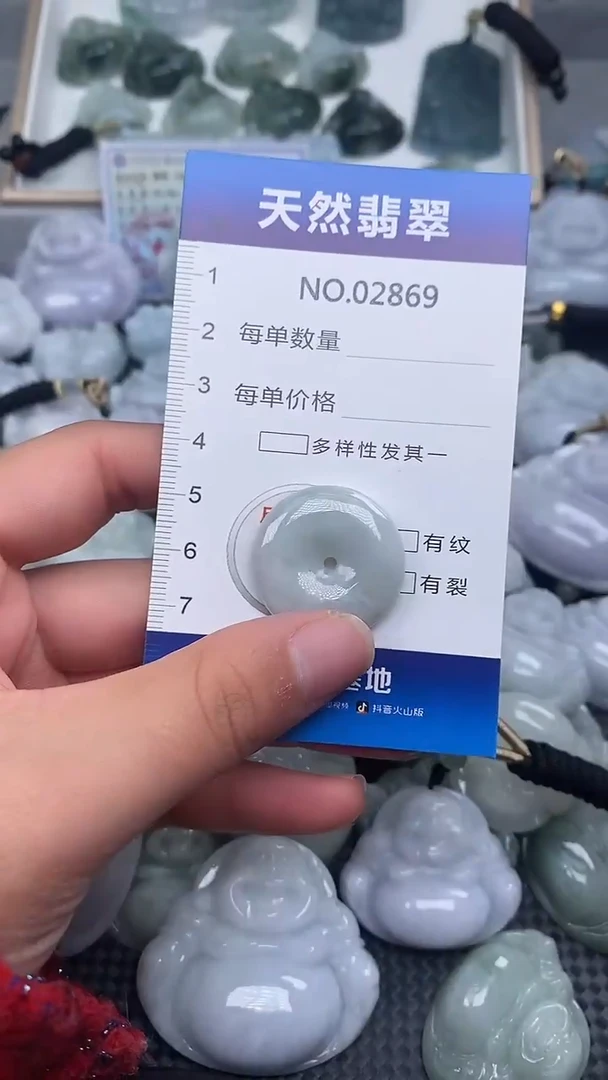 颈饰未镶嵌翡翠纯天然A货翡翠2869